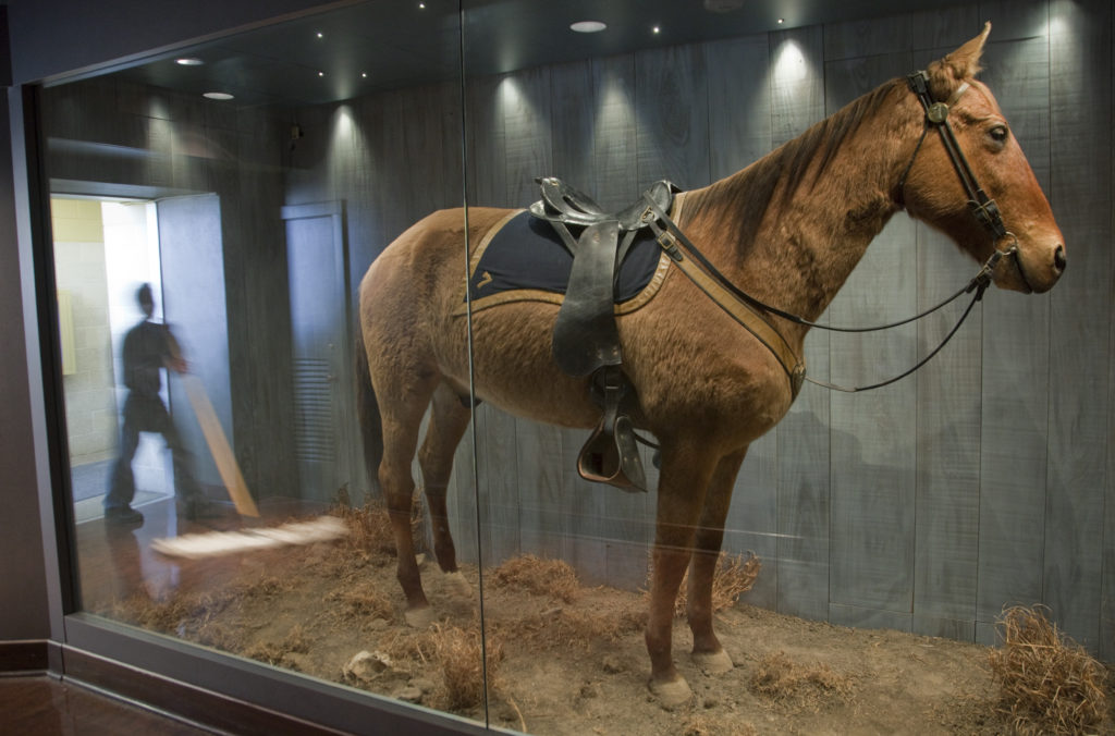 Historians help honor horse of a different era News, Sports, Jobs Lawrence JournalWorld